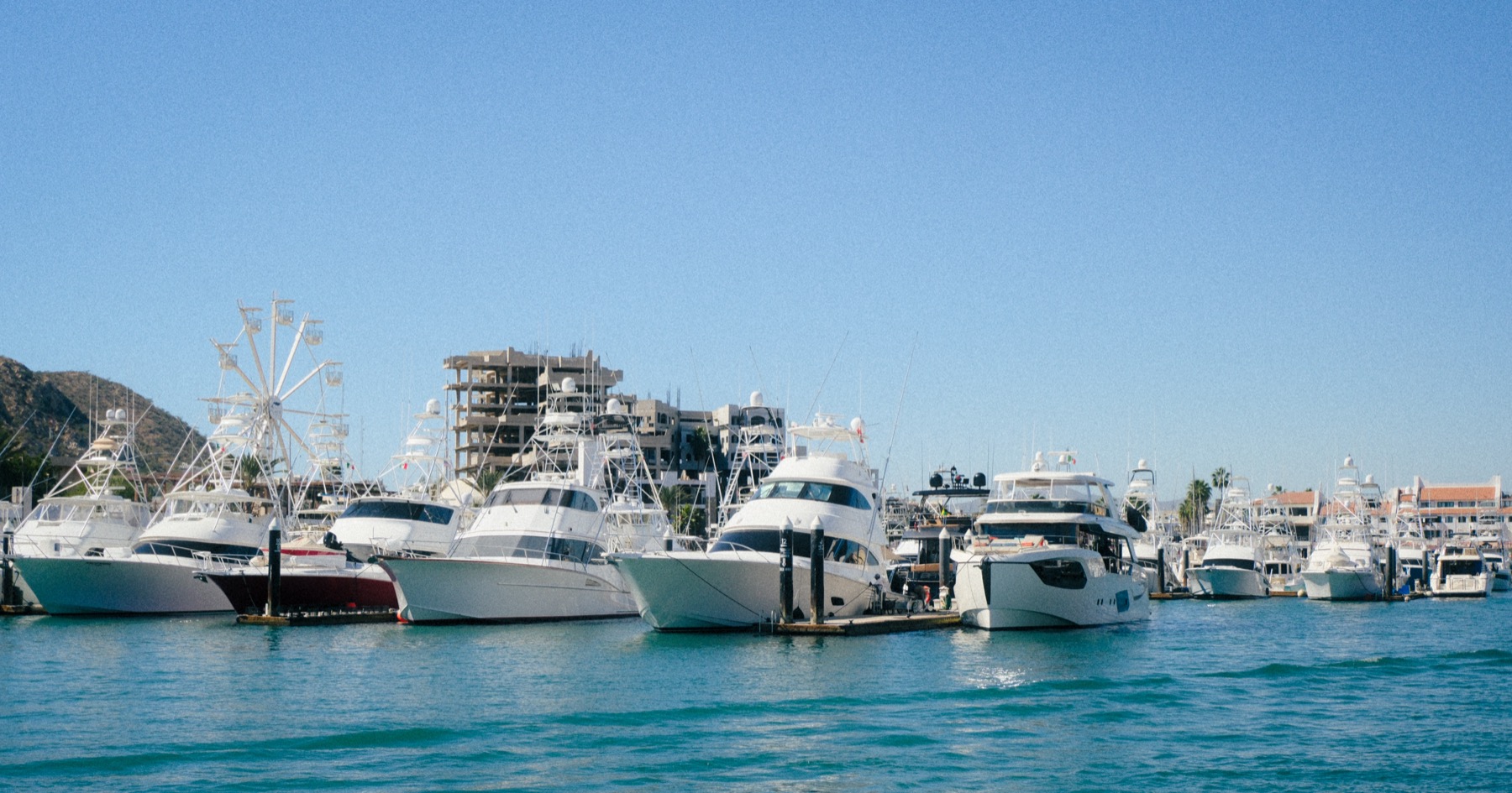 Marina full of fishing boats in Cabo San Lucas